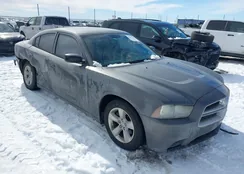 2C3CDXBG8EH264174: 44243468