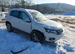 WVGBV3AX1DW617607: 44243573