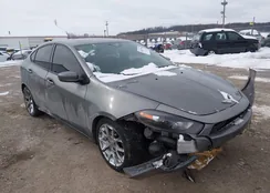 1C3CDFBA1DD305391: 44243796