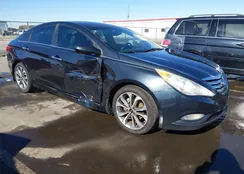 5NPEC4AB4DH766827: 44242886