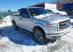 1FTMF1EF3DKE15410: 44242910