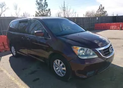 5FNRL38499B053253: 44243136