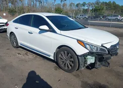 5NPE34AF9FH081406: 44243207