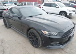 1FA6P8TH4G5273855: 44244277