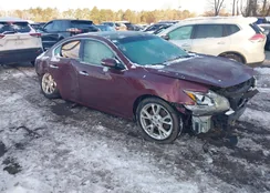 1N4AA5AP0DC847332: 44244410