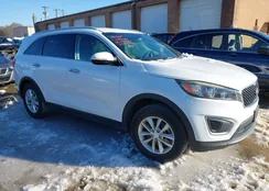 5XYPG4A39HG254595: 44244549