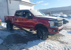 1FTFW1E4XKKE97236: 44244576