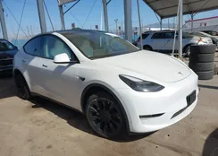 7SAYGAEEXPF800652: 44244659