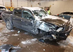 3TMGZ5AN3HM097960: 44244717