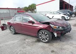 1HGCR2F51DA282863: 44243933