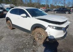 3MVDMBAM9PM512753: 44244134