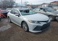 4T1C11AKXPU168033: 44244876