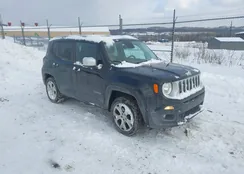 ZACCJBDT4FPC24420: 44246272