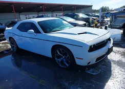 2C3CDZAG7FH712130: 44246513