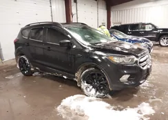 1FMCU9GD7KUC18121: 44246635