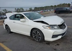 1HGCT1B85GA006007: 44246686