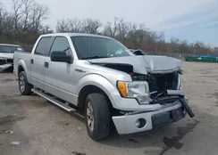 1FTEW1CM5BFB20997: 44245996