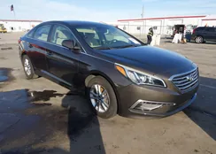 5NPE24AF4FH191704: 44246094