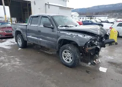 1B7HG38N92S515859: 44246156