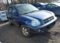 KM8SC13E96U091750: 44247251