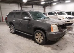 1GKS2CE05BR245215: 44247287