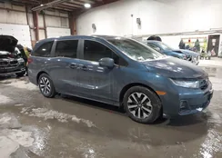 5FNRL6H66SB023278: 44246895