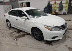 1N4AL3APXGC264561: 44249381