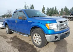 1FTFX1EFXDFC13209: 44249688