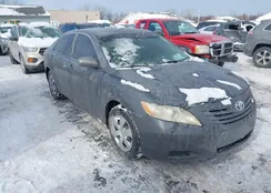 4T1BK46K99U087546: 44249730