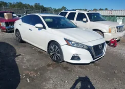 1N4BL4EV8KC131518: 44249814