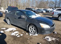 1HGCM71646A014744: 44248972