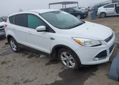 1FMCU0GX0EUB81651: 44249198