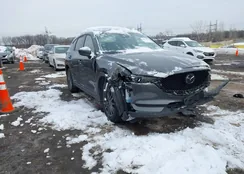 JM3KFBCM5M1336557: 44250331