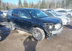 5FNYF6H34HB099020: 44250368