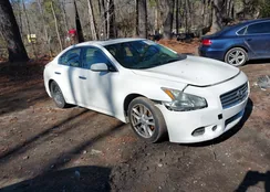 1N4AA5AP4BC819997: 44250498