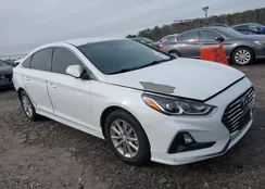 5NPE24AF7KH758966: 44250687