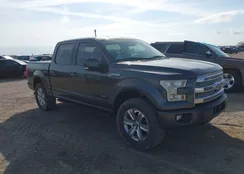 1FTEW1EGXFKD79103: 44249894