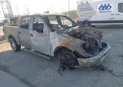 1FTPW12V87KB09736: 44250014