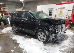 5NMS1DAJ1MH308787: 44251283