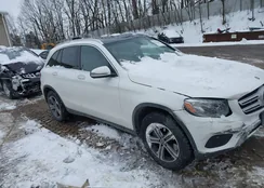 WDC0G4KB0JV068251: 44251401