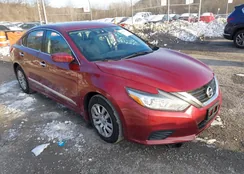 1N4AL3AP7HC247864: 44251472