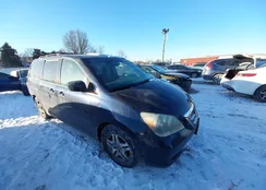 5FNRL38407B028805: 44251154