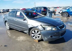 1HGCP3F89AA013916: 44252509