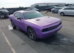 2C3CDYAGXDH650875: 44252545