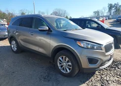 5XYPG4A32GG048033: 44253281