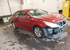 5NPEC4AC1BH217740: 44253760