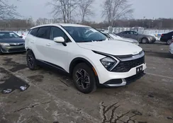 KNDPUCAF3P7202601: 44252986