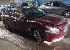 1N4AA51E09C812229: 44253170