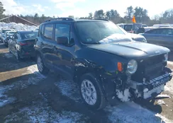 ZACNJDB19NPN65667: 44254254