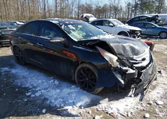 5NPEC4AB4DH557152: 44254385